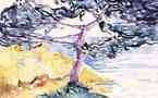 10 octobre au 20 décembre > Paris, Galerie de la Présidence : Les beaux dimanches d’Henri-Edmond Cross