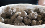 Bonté divine : la Messe de la truffe, dimanche 15 janvier à Richerenches, Vaucluse