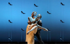 Cendrillon, Malandain Ballet Biarritz, 9 et 10 décembre 2016 au Grand Théâtre, Aix en Provence