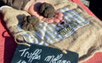 Marché aux truffes de Saint-Paul-Trois-Châteaux (Drôme) : tous les dimanche du 11 décembre 2016 à la mi-mars 2017