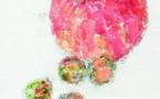 13/11 au 31/12 > Aix en Provence, galerie Alain Paire : Anne-Marie Jaccottet. Peintures et dessins