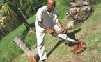 Alex Boucaud, sculpteur guadeloupéen. Découverte.