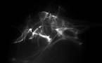 9/12 au 7/02 > Bertrand Lamarche « The Funnel » / Exposition personnelle. La Galerie, Noisy-le-Sec