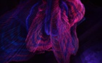 « Tisser les rêves » : suivez le fil de vos rêves à la 13e édition de Miniartextil à Montrouge ! 21 février au 21 mars 2017