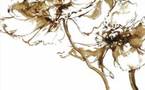 10 avril au 30 juin. Exposition de  dessins et de peintures de Claire Basler à la galerie Marchand, à Paris