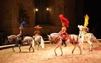 9 avril au 15 novembre, Musée Vivant du Cheval : retour des spectacles. Grandes Ecuries de Chantilly (60)