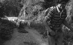 Avril et mai, Transhumance, Photographies Michel Ayrault à la Galerie Noir &amp; Blanc, Saint-Etienne