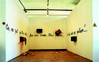 18 au 23 mai 09, exposition Cédric Ponti, galerie du Tableau, Marseille