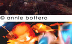 14 mai au 27 juin, exposition Annie Bottero et Bernard Lanteri à la galerie Vrais Rêves à Lyon