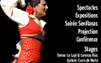 24 au 28 août, festival Semaine Flamenca, à Perpignan