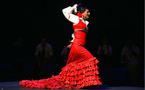 7 au 10 novembre, Flamenco : de Málaga à Grenade. Les Hivernales de la danse Flamenca de Béziers
