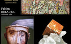 27 novembre au 27 janvier, exposition de Gaël Duvert, Fabien Delaube &amp; Georges Stahl à la Galerie Audras - Arrêt Déco, Etoile (26)