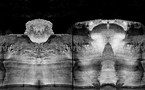 13 février au 27 mars. Exposition Rajak Ohanian. "Métamorphoses II " à la Galerie Laurent Godin, Paris