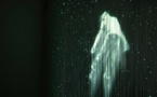 9 février au 3 avril. Laurent Pernot, Survivance des lucioles, Installations, vidéos et photographies au Lux, Scène nationale de Valence