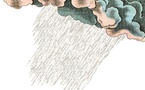 Jusqu'au 14 mars. La pluie, Musée de l'Image, Epinal. Par Jacqueline Aimar
