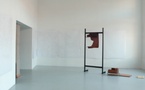 Jusqu'au 27 mars 2010, exposition AIRES, Mathilde du Sordet, Pascal Poulain, Till Roeskens à La BF15, Lyon