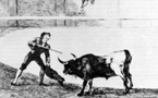 2 juillet au 29 août 2010, La tauromachie de Goya à l'espace Taurin de Béziers