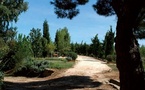 Arboretum du Mas Roussillon, du conservatoire à la pause gourmande  au Canet en Roussillon