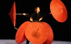 16 et 17 juillet 2010, le « Cirque invisible » de et par Victoria Chaplin et Jean Baptiste Thierrée, Campo Santo de Perpignan