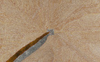 9 au 12 septembre 2010, Art aborigène, Galerie arts d'Australie-Stéphane Jacob, Paris