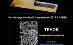 3.9.10 au 17.9.10,  exposition Vincent Deplano &amp; Tehos au Museaav, Nice