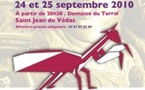 24 + 25.09.10 : Festin de pierres au Domaine du Terral à Saint Jean de Védas
