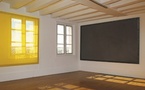 20.10.10 au 9.1.11 : Cécile Bart, “L’hypothèse du fond perdu” à l'Espace Art Concret de Mouans-Sartoux, Alpes Maritimes