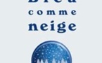 Bleu comme neige, roman de Francine Bibian, éditions Les Petites Vagues