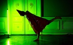 16.12 > 19.01.11 : « Force et Mouvement » Photographies &amp; Sculptures, Espace Miramar, Cannes