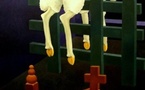 Exposition « A giant leap for a sheep » de Rieks Pepping à la galerie Toutes Latitudes, Vincennes, du 29 avril au 15 mai 2011