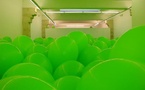 Martin Creed, Work n°262, Half the Air in a Given Space au Frac Languedoc-Roussillon, du 4 au 22 avril 2011