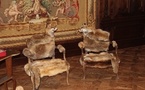 Château d’Avignon aux Saintes-Marie de la Mer : Des animaux comme châtelains