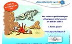 L’aquarium de Lyon est en partenariat avec Bus Le grand tour, du 1er juillet au 31 août, ce qui donne lieu à une offre spéciale !