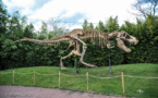Le Muséum de l'Ardèche de Balazuc (07) installera le jeudi 28 mars 2019 sur son site la copie d'un T-Rex (ou Tyrannosaurus rex)