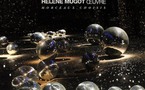 Hélène Mugot au musée Mandet de Riom du 22 octobre 2011 au 22 janvier 2012
