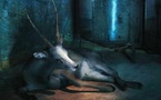 Victoria Klotz, Le ravissement des loups, au Centre d’art contemporain, Montélimar, du 6 novembre au 22 janvier 2012