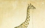 Zarafa, la véritable histoire de la première girafe de France au Cabinet d'histoire du Jardin des Plantes, 25 janvier au 30 avril 2012