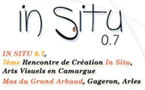 In Situ 0.7, 7ème Rencontre de Création In Situ, Arts Visuels en Camargue 2012