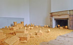 « Yoctoyotta » installations de Christian Gonzenbach au château de Voltaire à Ferney jusqu’au 31 octobre 2012