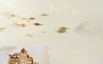 Emmanuelle Castellan &amp; David Coste, Ici et Nulle part, galerie Françoise Besson, Lyon, du 9 juin au 10 août 2012