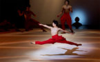 Didier Philispart, Scènes de Danse,  Hall d'entrée du KLAP (Maison pour la Danse), Marseille, octobre 2012, par Philippe Oualid