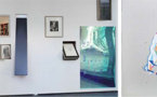 Sir Thomas Trope, une exposition monographique de Aurélien Mole et Julien Tiberi, Villa du Parc, Annemasse, du 23 novembre 2012 au 16 février 2013