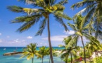 Guadeloupe : La Créole Beach Hôtel &amp; Spa****, en bord de mer et au cœur d’un magnifique parc tropical