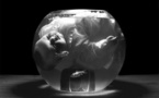 Laurence Demaison, photographies, Galerie Esther Woerdehoff, Paris, du 30 janvier au 9 mars 2013