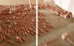 « Semences néolithiques » de Miquel Navarro, Centre d'Art Contemporain de Perpignan Àcentmètresducentredumonde, du 12 Avril au 6 Juin 2013