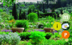 Grasse. Réouverture des jardins du Musée International de la Parfumerie après travaux de réaménagement à partir du samedi 18 mai 2013