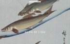 Poissons. Au fil de l’eau, de Corinne Le Bitouzé, BNF Editions, collection « L’Œil curieux »