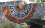 « Art’Terre », exposition de Land Art de Sally Ducrow, jardin de la médiathèque de Noailles, Cannes, du 2 juillet au 15 septembre 2013