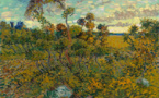 Le musée Van Gogh découvre un nouveau tableau de Vincent Van Gogh : Coucher de soleil sur Montmajour