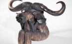Jean Fontaine, Enfer sur terre, Musée Ariana, Genève du 27 Septembre 2013 au 16 Février 2014